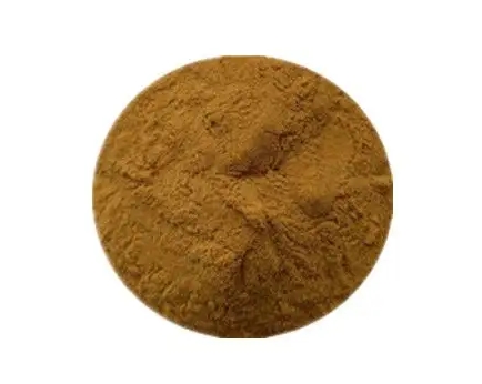 什么是植物提取物？